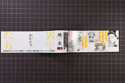 特装版书腰